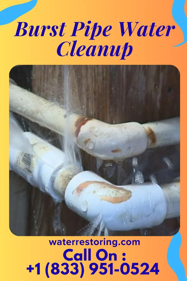 Burst Pipe Water Cleanup in Grafton, WV