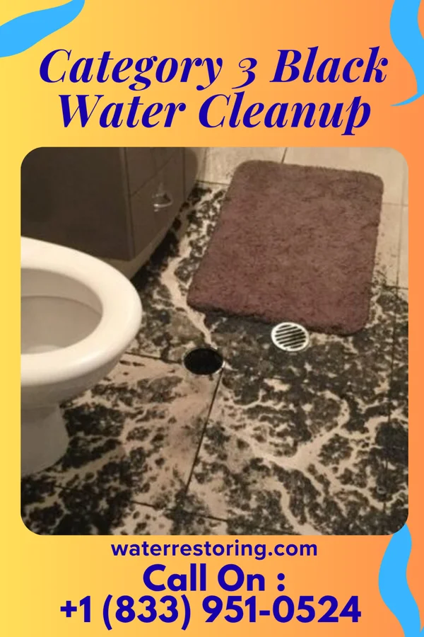 Category 3 Black Water Cleanup in Grafton, WV