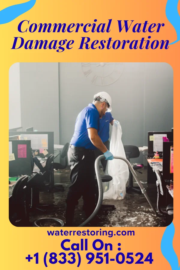 Commercial Water Damage Restoration in Grafton, WV