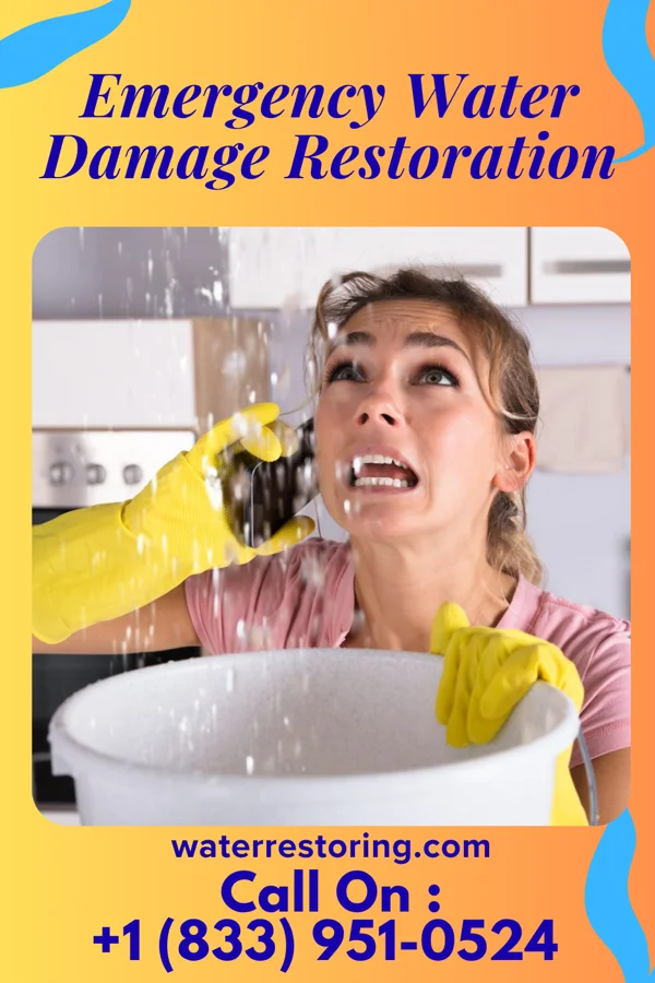 Emergency Water Damage Restoration in Grafton, WV