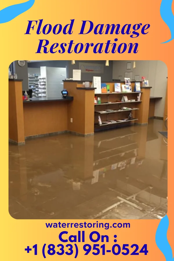 Flood Damage Restoration in Grafton, WV