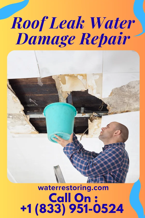 Roof Leak Water Damage Repair in Grafton, WV